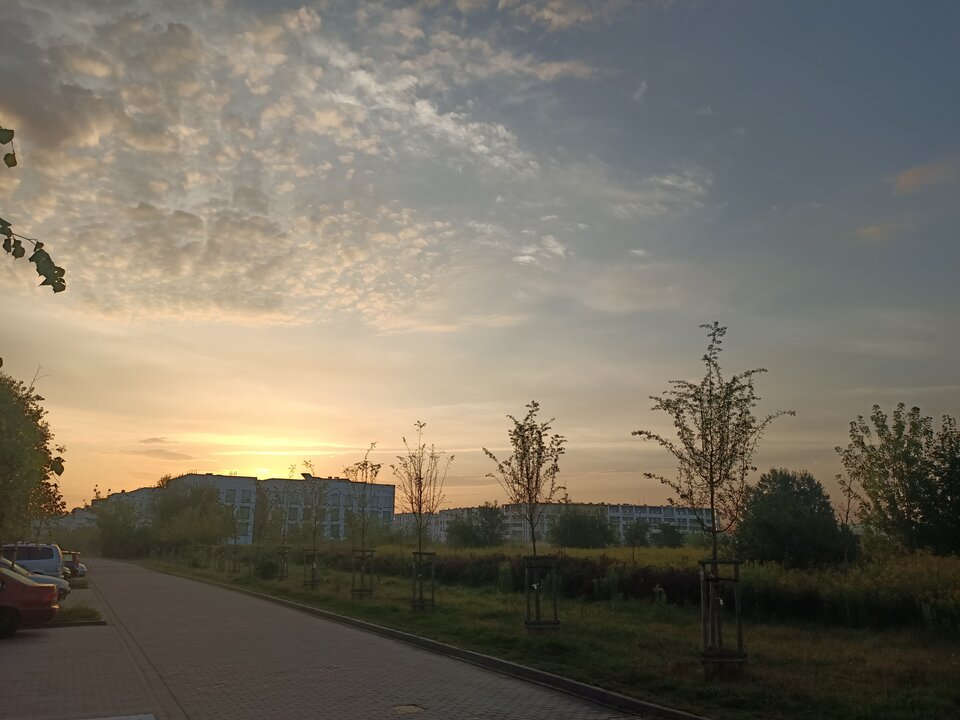 IMG20220823055655.jpg - Xrados