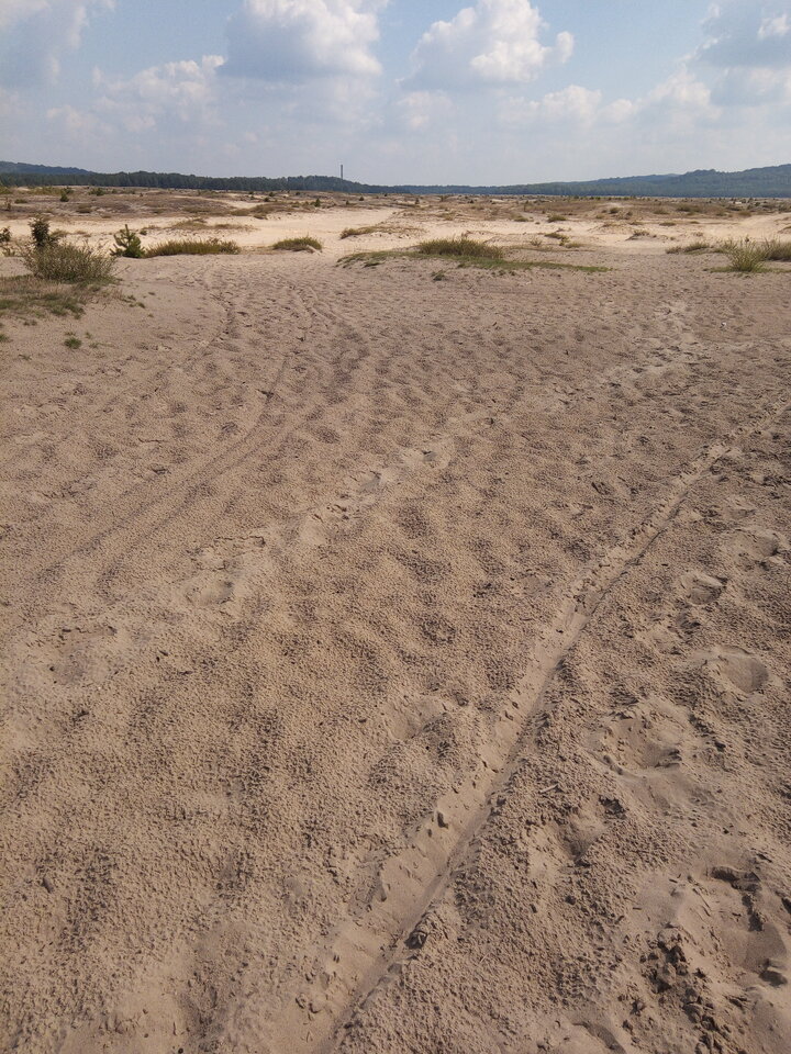 IMG_20220817_110515_206.jpg - Jacek198072