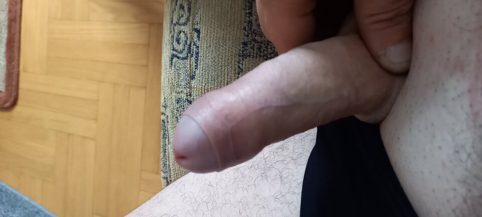 20220823_113415.jpg - tygrysekiwon