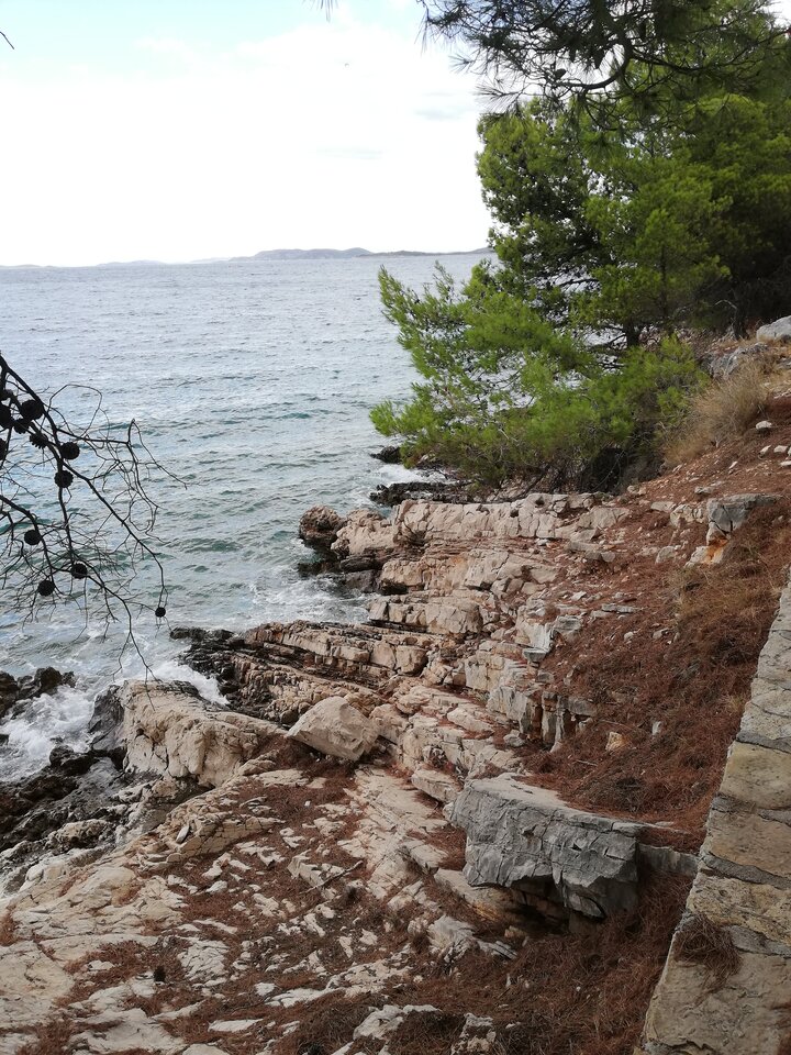 IMG_20220823_154455.jpg - Passion88