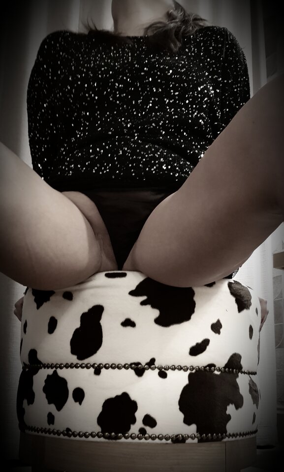 Na byczku 🐄 - Libellula