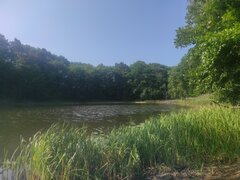 IMG_20220815_101417.jpg