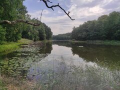 IMG_20220813_092720.jpg