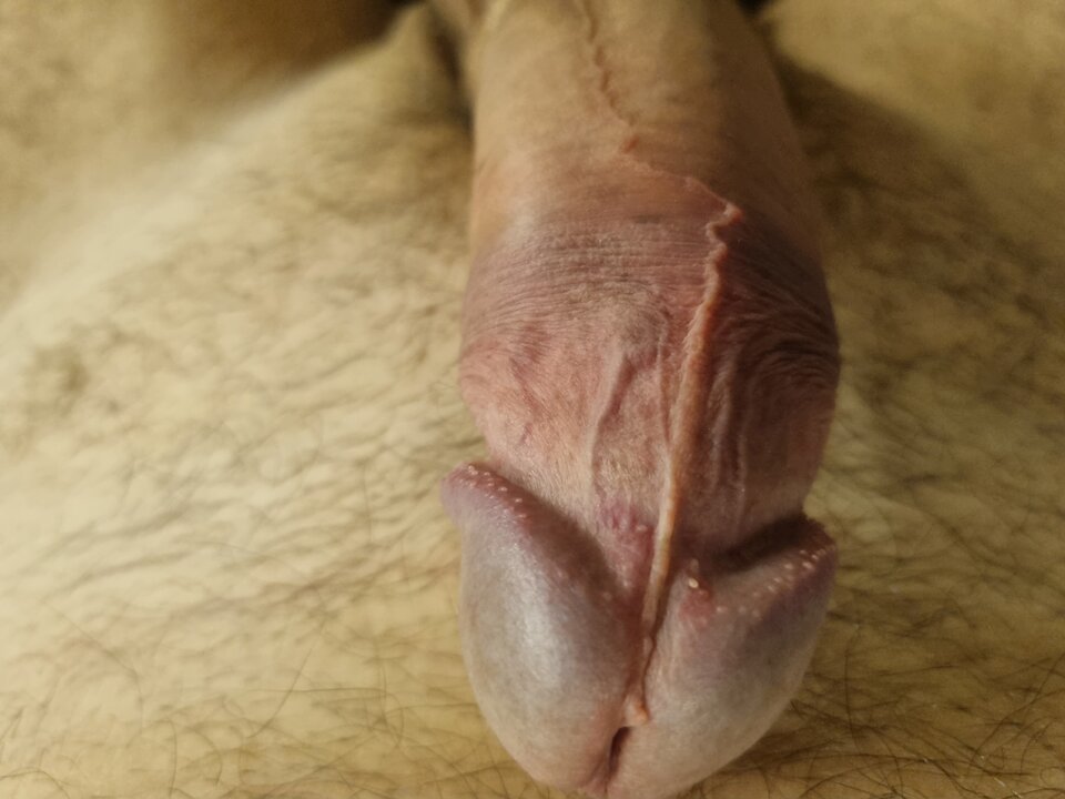 20220823_233633.jpg - Cropcraked1