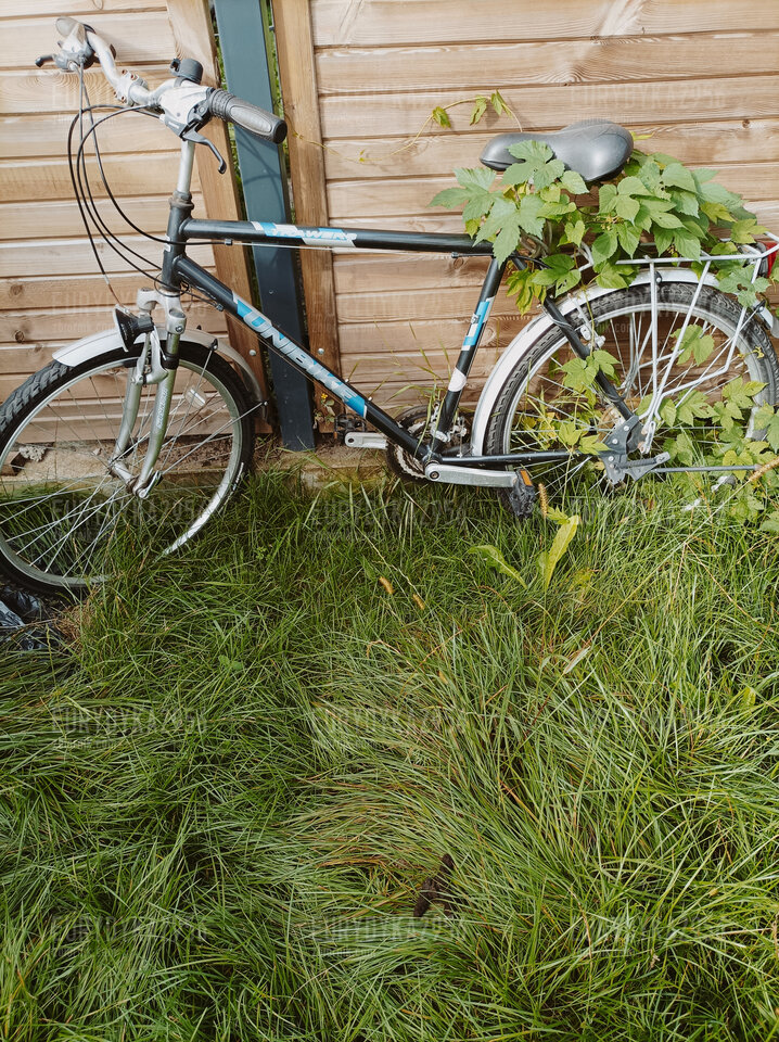 Rowerowe szaleństwo - Eurydyka2956