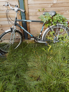 Rowerowe szaleństwo