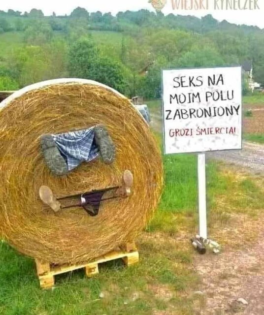 FB_IMG_1661329731903.jpg - bardzofajni1982