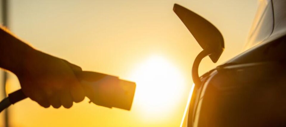 Elektryzujące Debki - biseksualni_gdansk