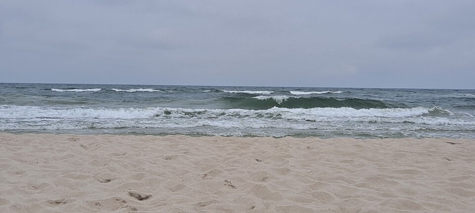 20220825_143527.jpg - Pogrzebien