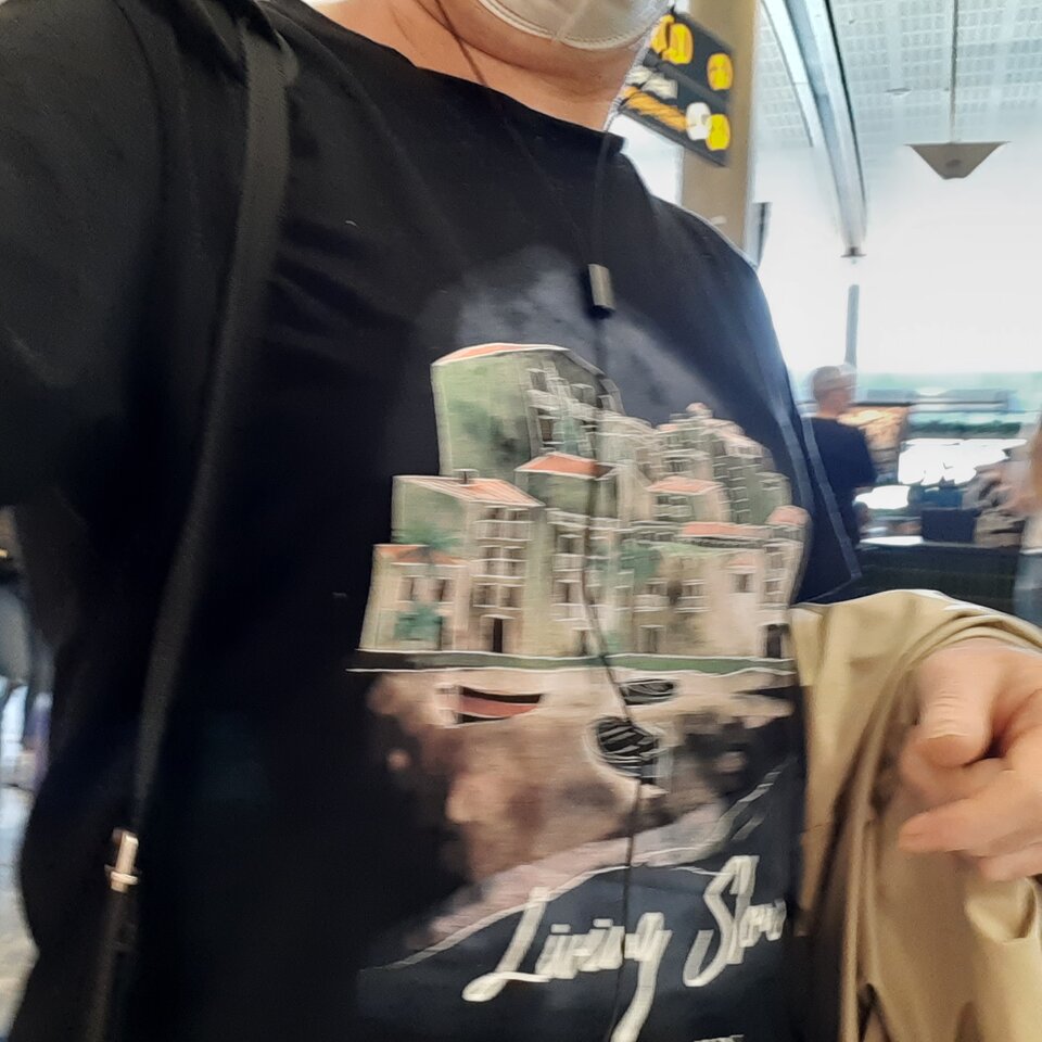 16614339782986140312124284686209.jpg - Palciusia