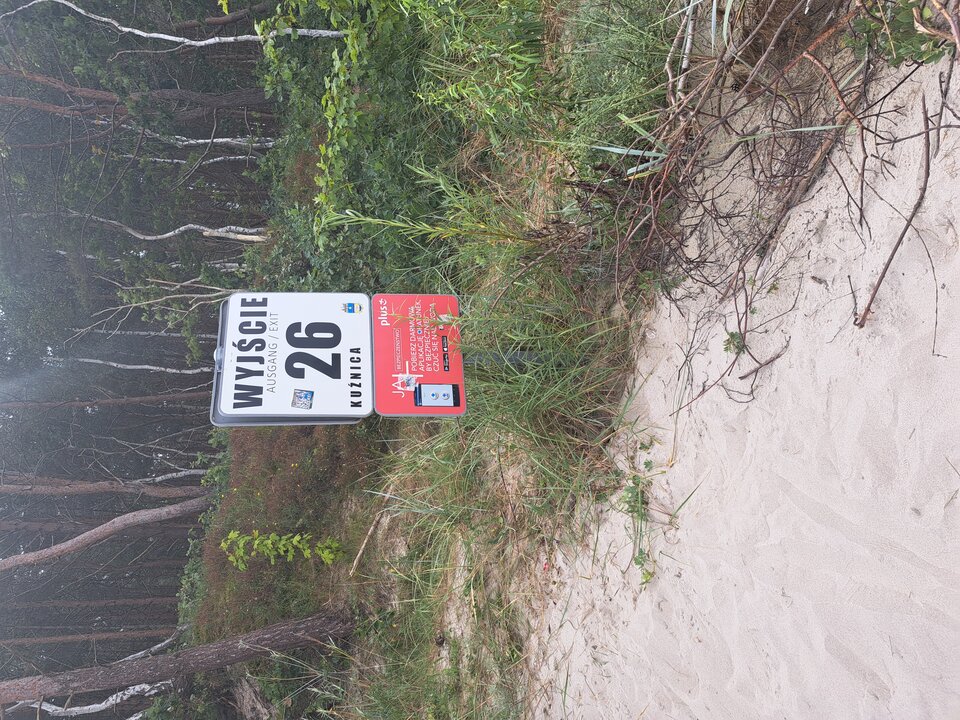 20220825_145449.jpg - Pogrzebien