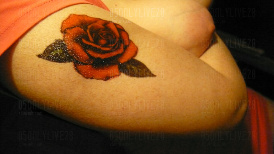 P1140270.JPG - 05oNlYlivE28