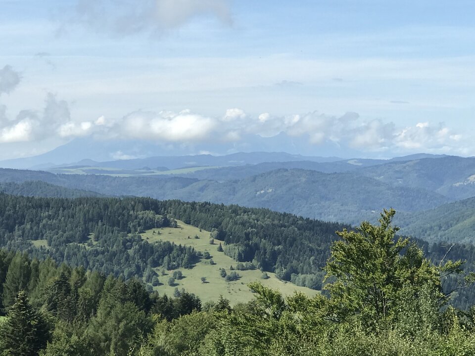 B0AF6DD0-1658-4915-B03D-35EAD83FD27D.jpeg - Marcin34krakow