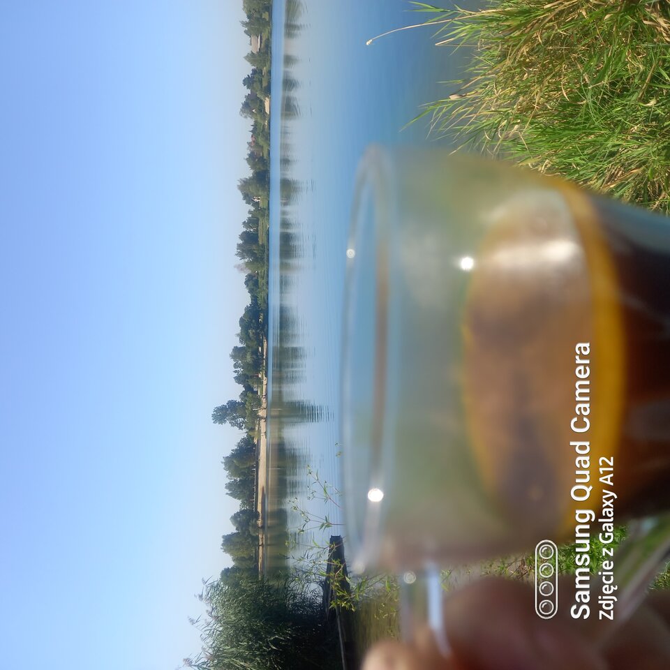 20220826_094754.jpg - amfeti35