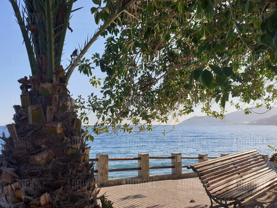 IMG-20200820-WA0009.jpg - Adminki