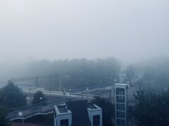 8917212C-916C-41CC-A94D-B8EC441756A8.jpeg