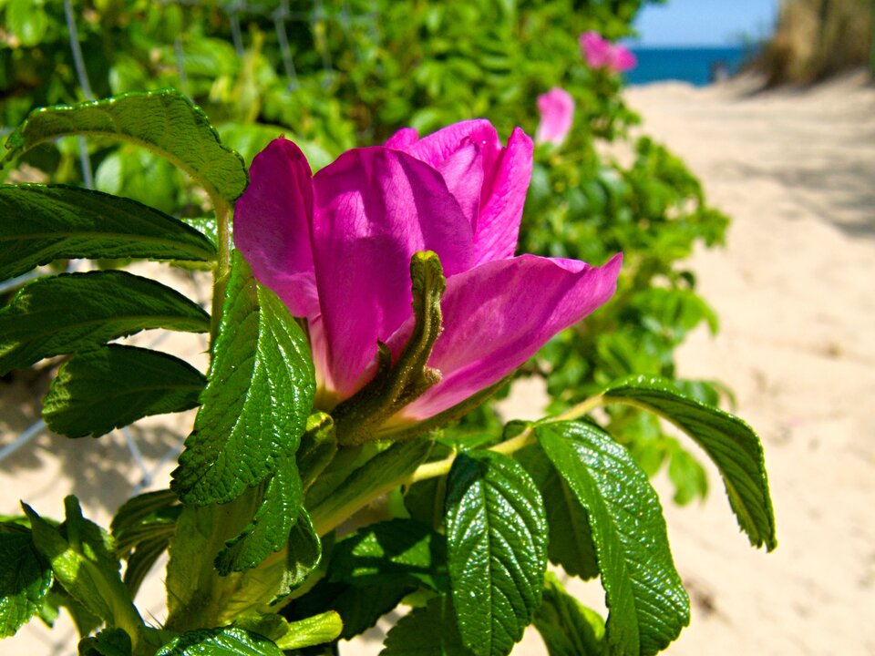 P5222244.jpg - Marcin1988xxx