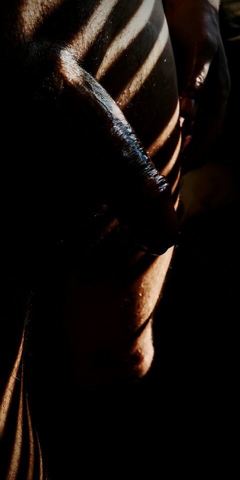 Obudziło mnie słoneczko - BlackjackBack