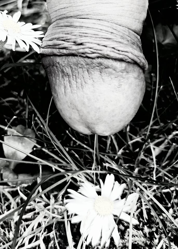 IMG_20220826_151941.jpg - Jarekx1