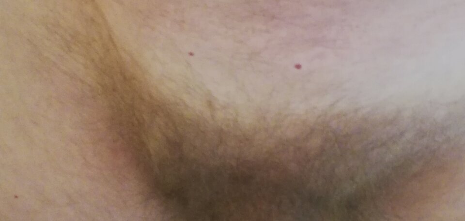 IMG_20220807_125755.jpg - Nimfoman50