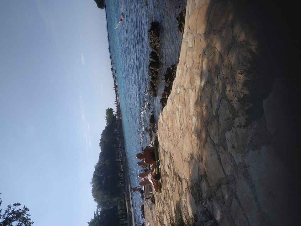 IMG_20220828_110355.jpg - 45parunia