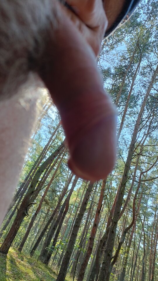 IMG20220828111727.jpg - ardas1