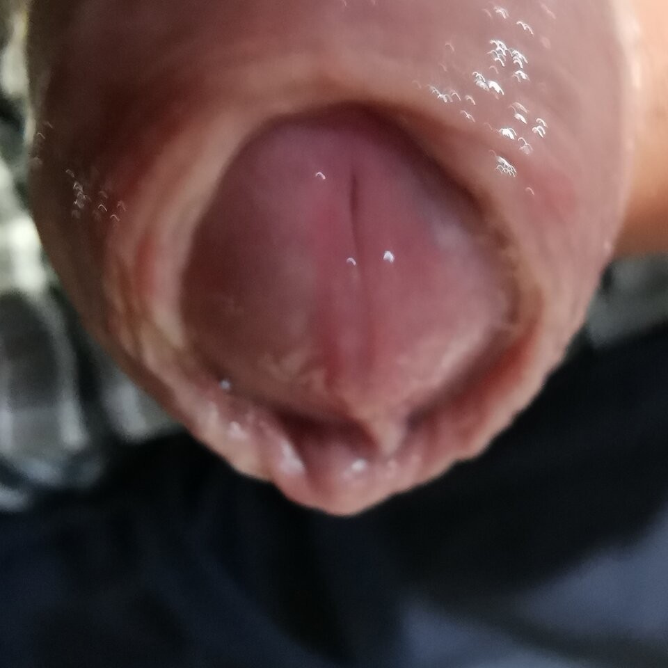 IMG_20220828_113154.jpg - Zi0001