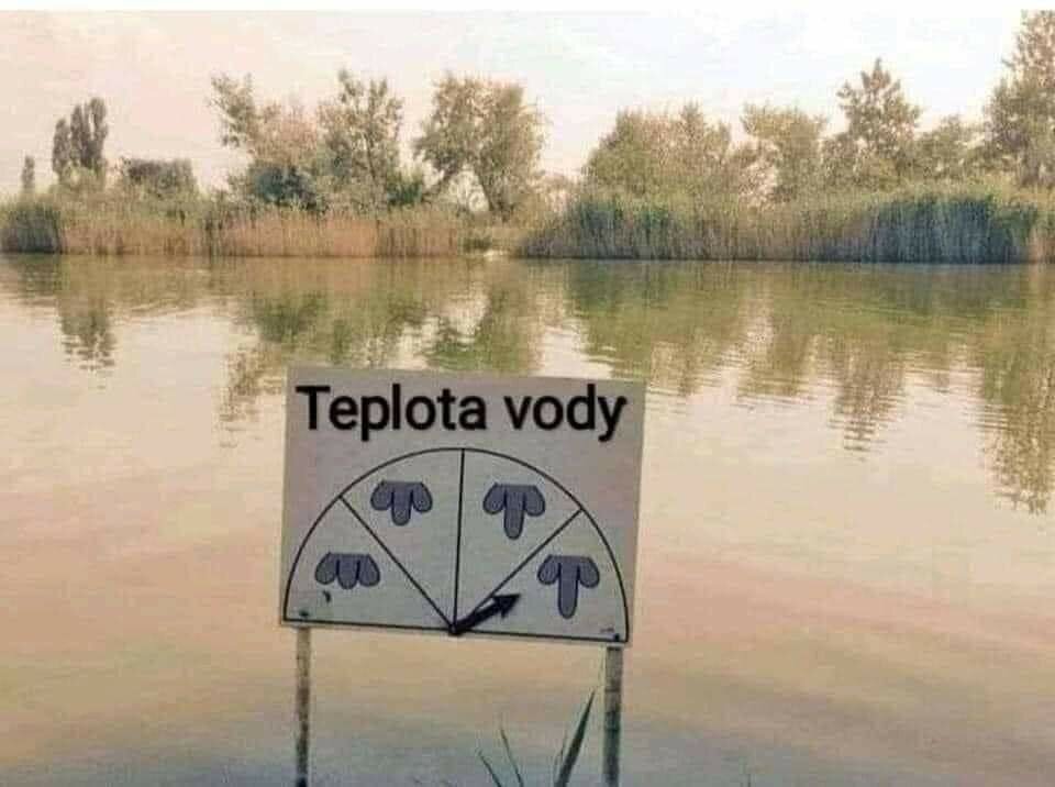 1623000426.jpg - Nicci