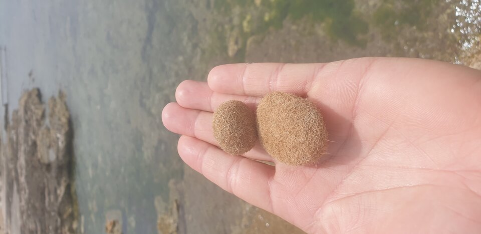 20220602_144843.jpg - maciej24061981