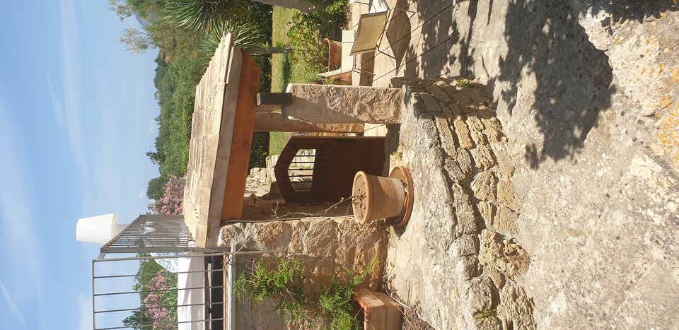 20220530_132734.jpg - maciej24061981