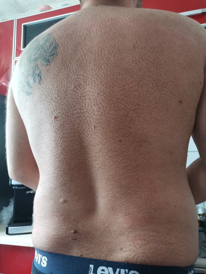 IMG_20220806_170957.jpg - TheMacedonian