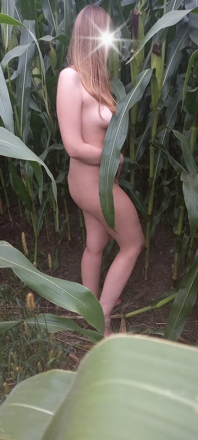 WikiDamian