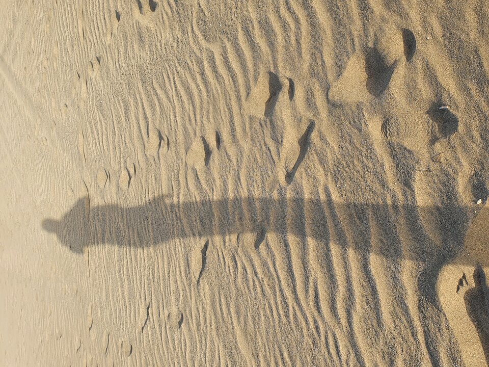20220829_193217.jpg - olacanarias