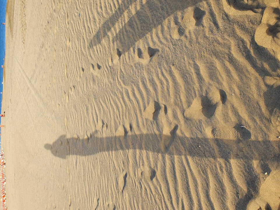 20220829_193352.jpg - olacanarias