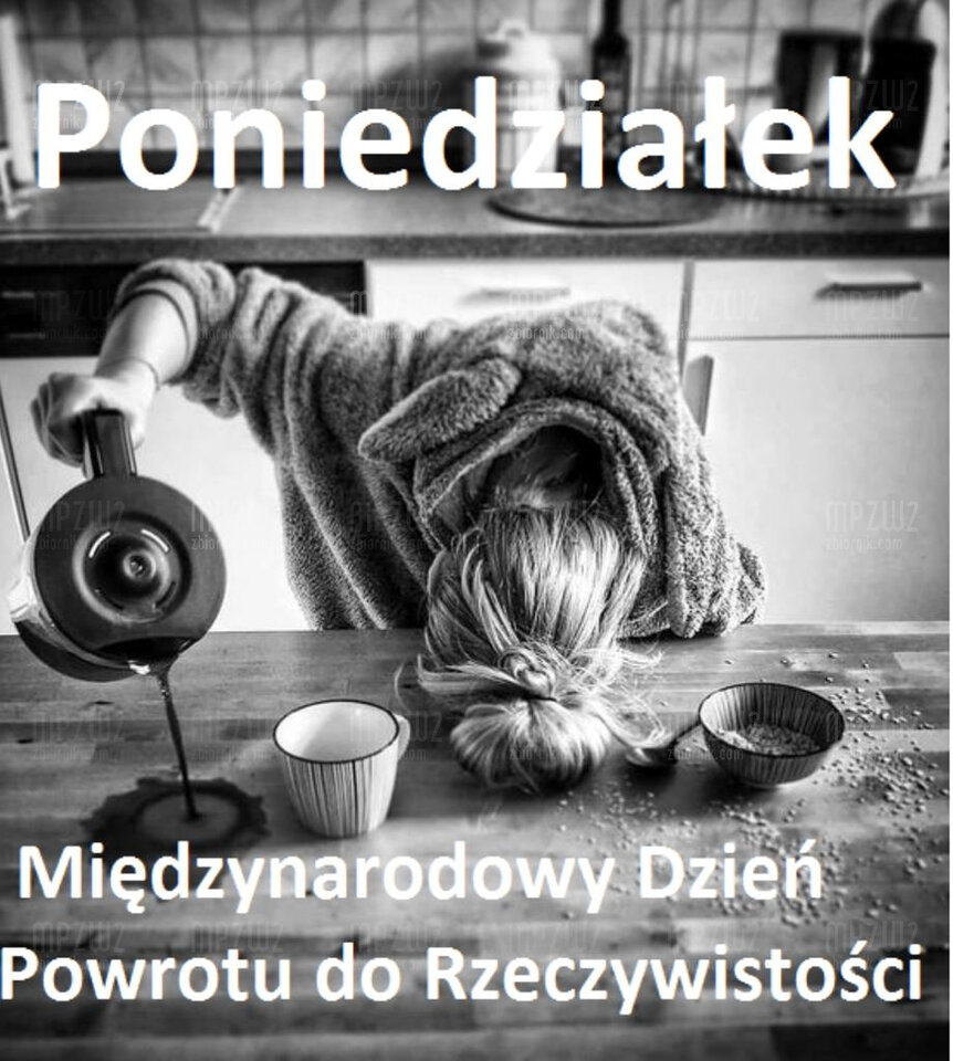 IMG-20220829-WA0008.jpg - mpzw2