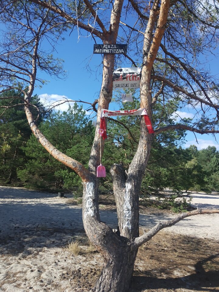 Naga plaża - nudist_friends75_76