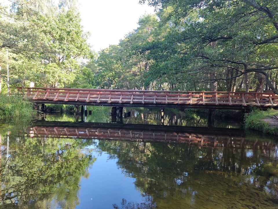 IMG_20220829_091616.jpg - edytkaandrzej