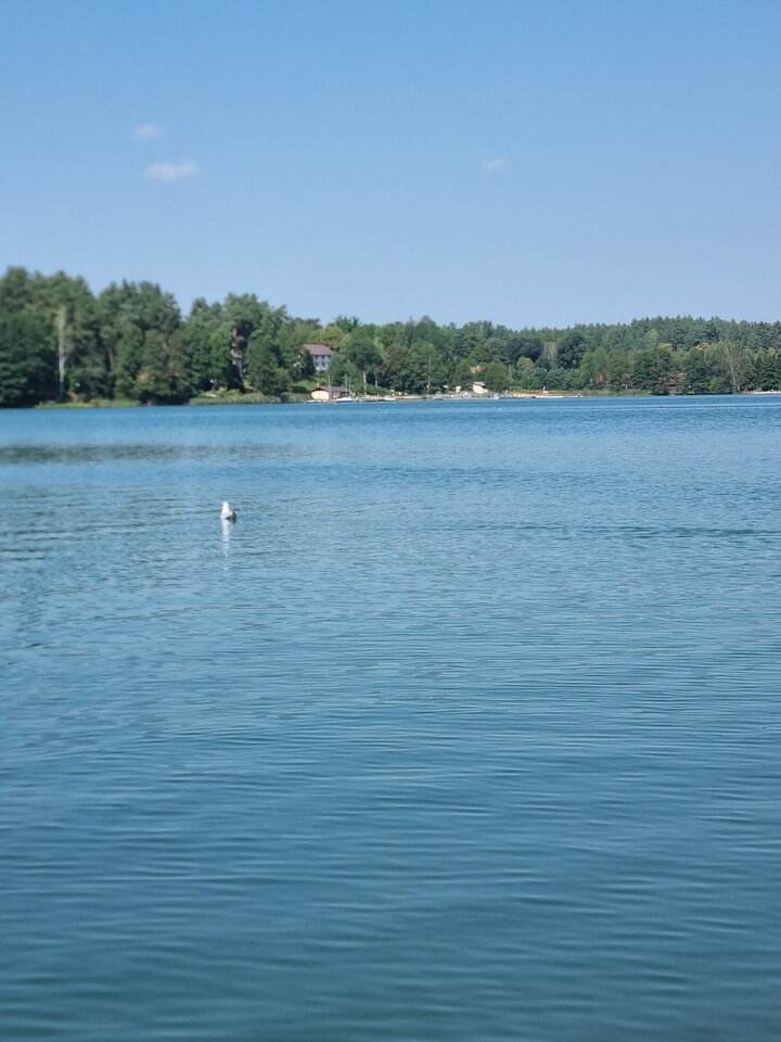 20220827_124133.jpg - ciekawy62