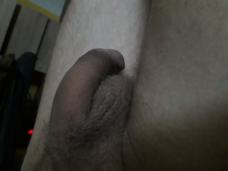 20220831_054628.jpg - brus13