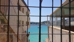 DSC_1195.JPG
