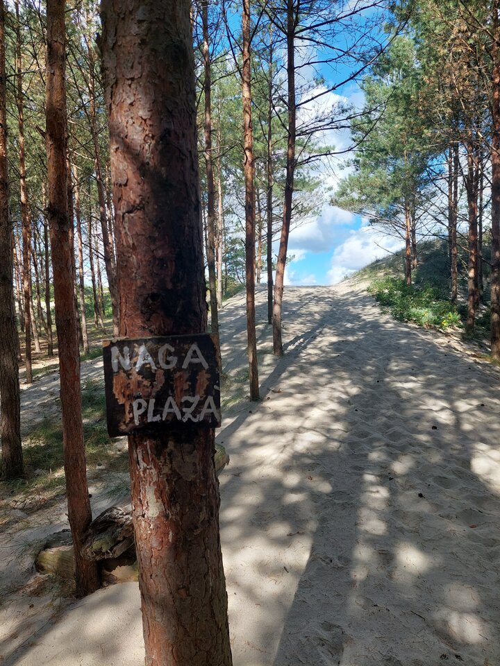20220831_105843.jpg - otwartybrunecik