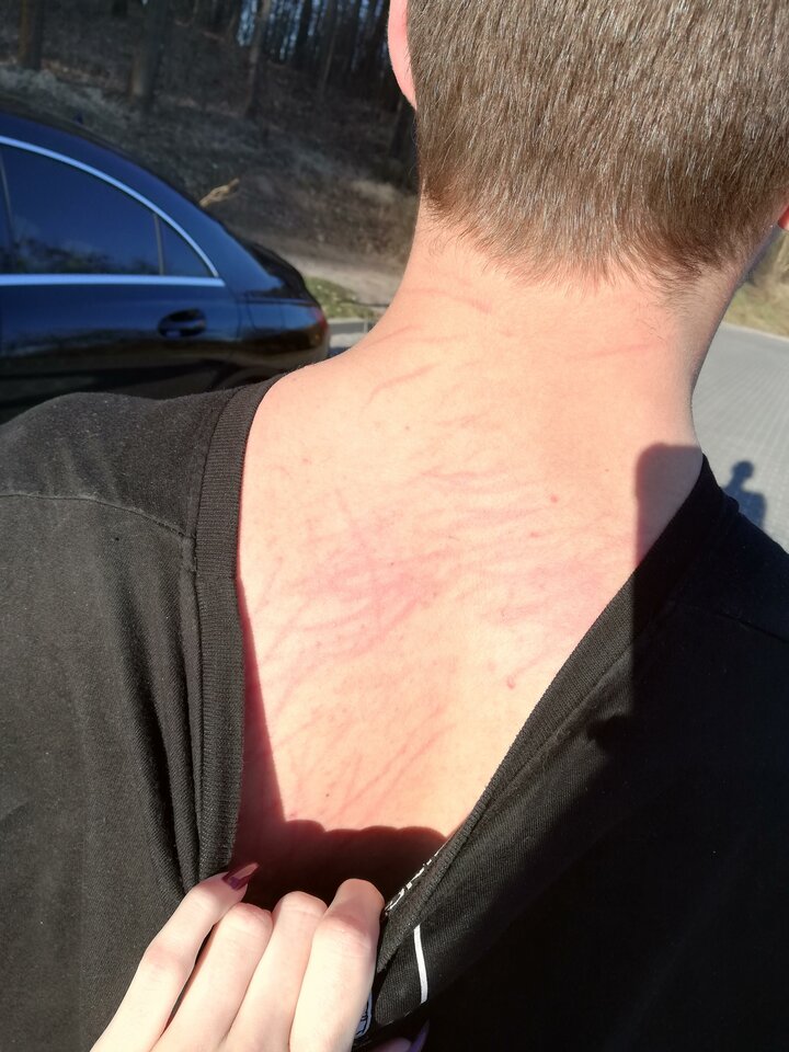 IMG_20190323_162231.jpg - Pawlaczysko