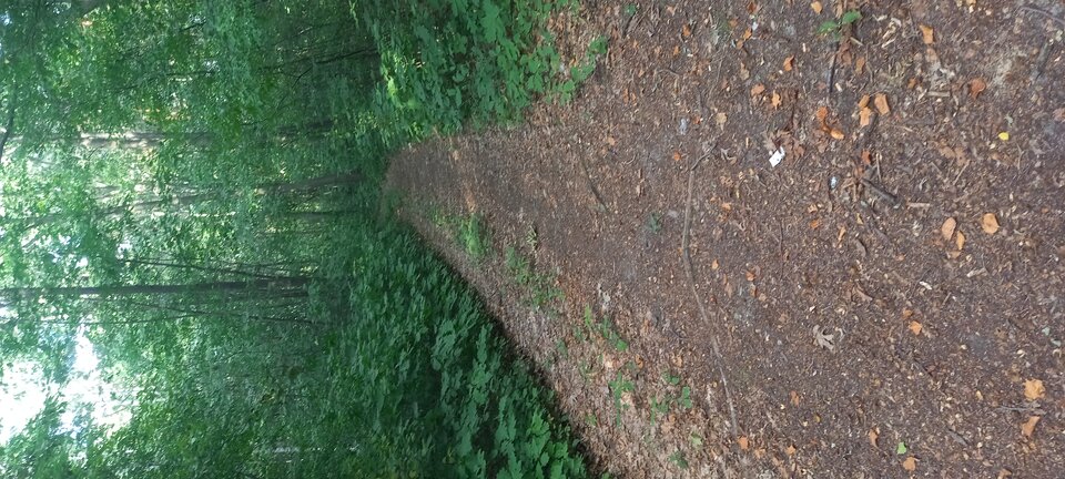 16619575732091269890917435180769.jpg - Mlodystw25