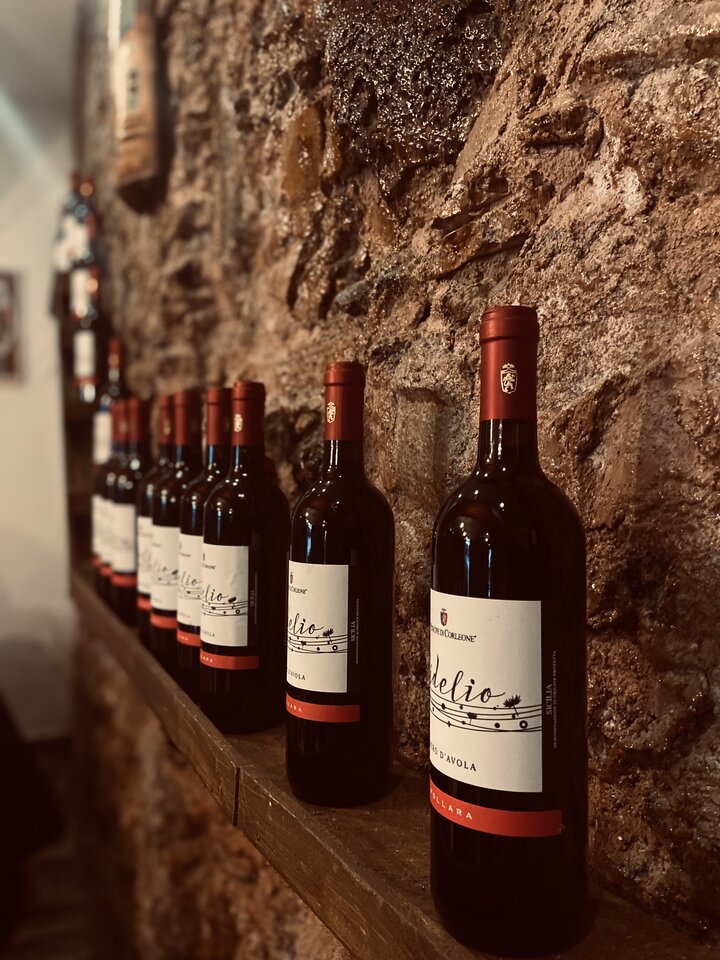 B6CC76A7-9FC1-4383-BA66-47F5BD623D80.jpeg - Obserwator7