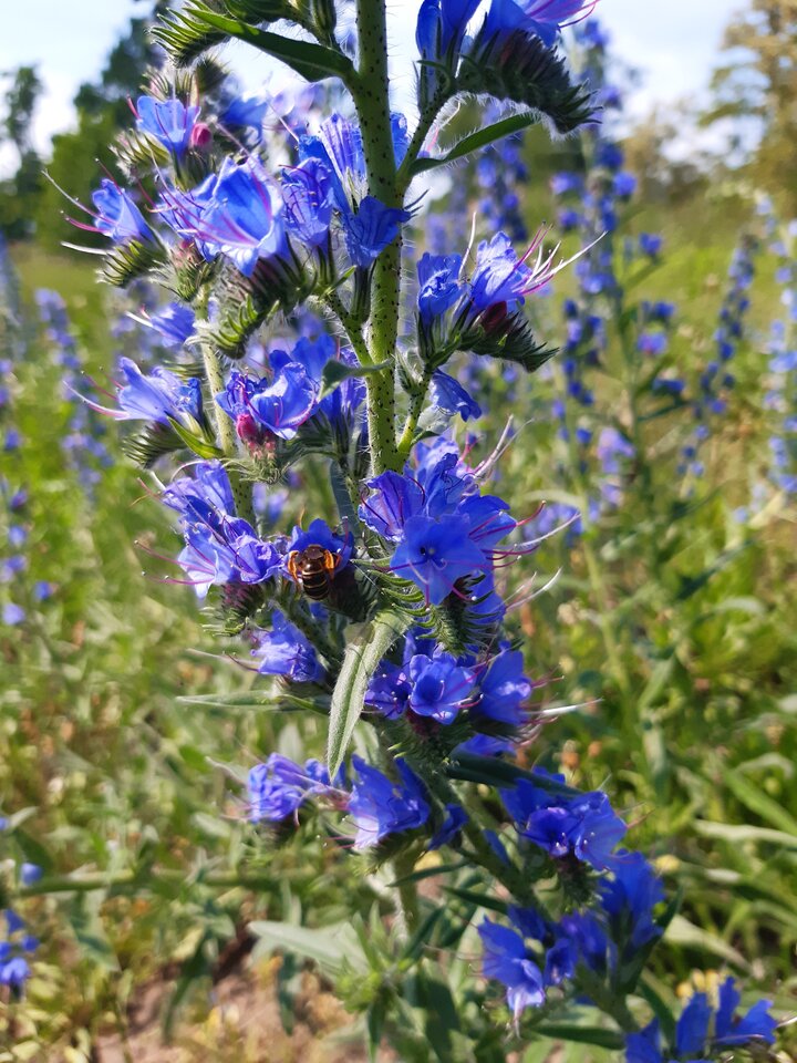 20220612_135658.jpg - torii99