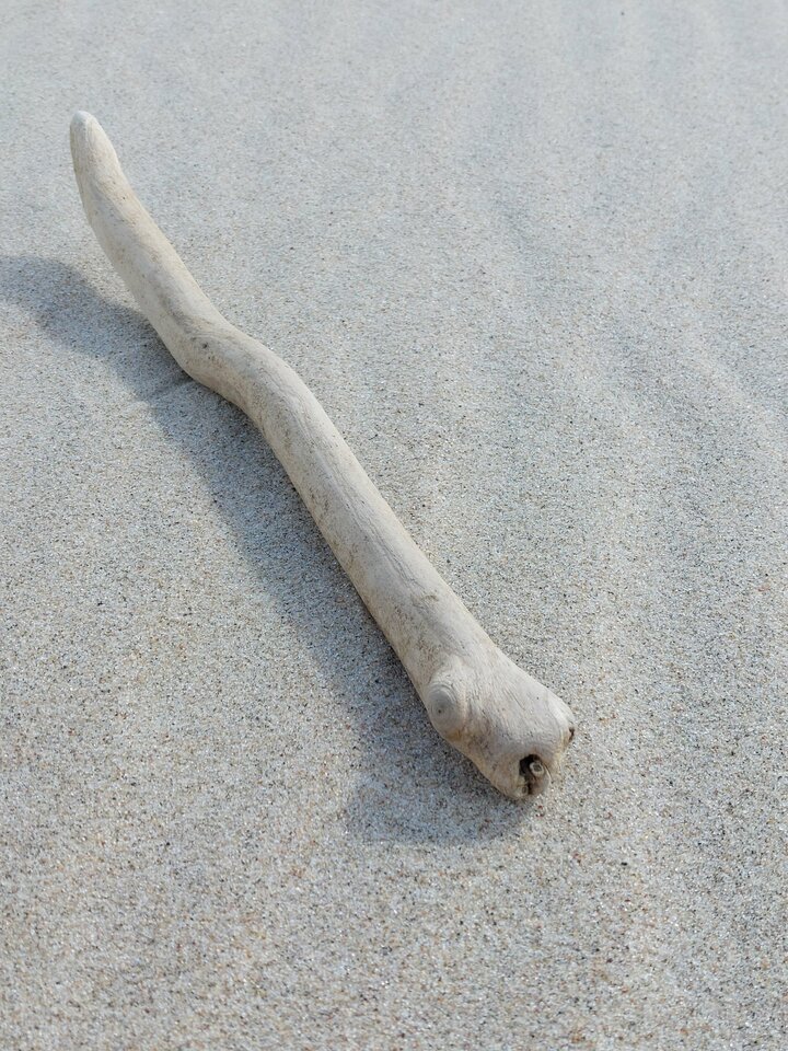 20220831_112728.jpg - otwartybrunecik