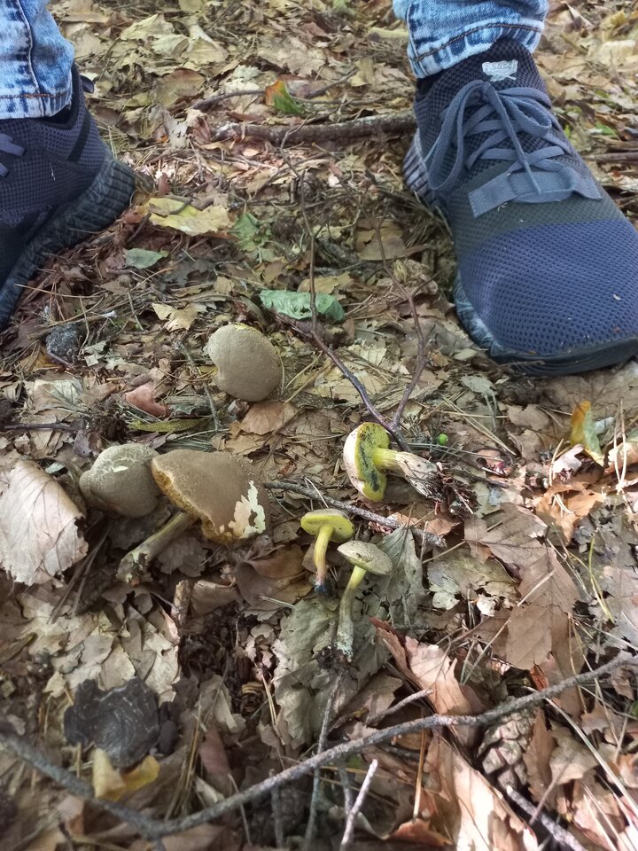 g20220901_163047.jpg - NagaSaki77