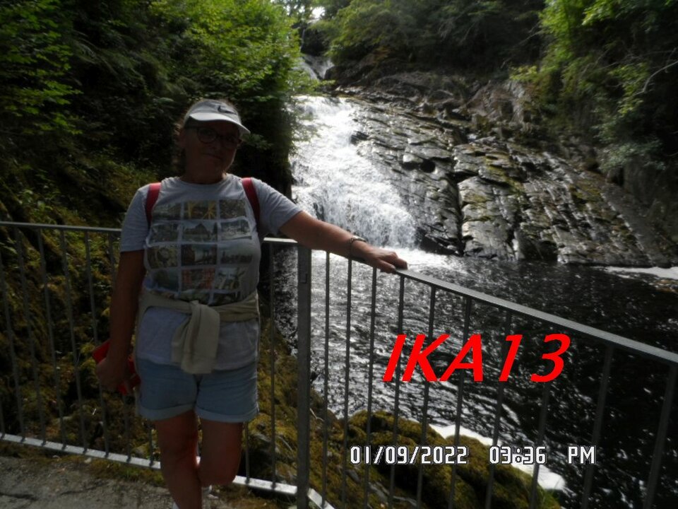 SAM_4209a.jpg - ika13