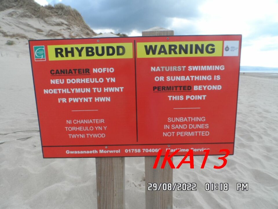 SAM_4188a.jpg - ika13