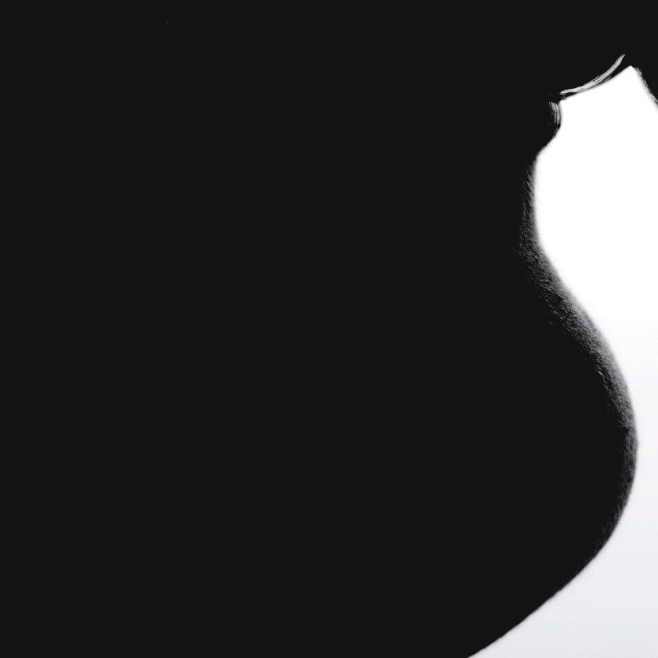 37BAE65D-8DAD-4D2B-B8E4-FC6601922A28.jpeg - LuxCouple